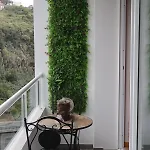 Appartement Art House Madeira I